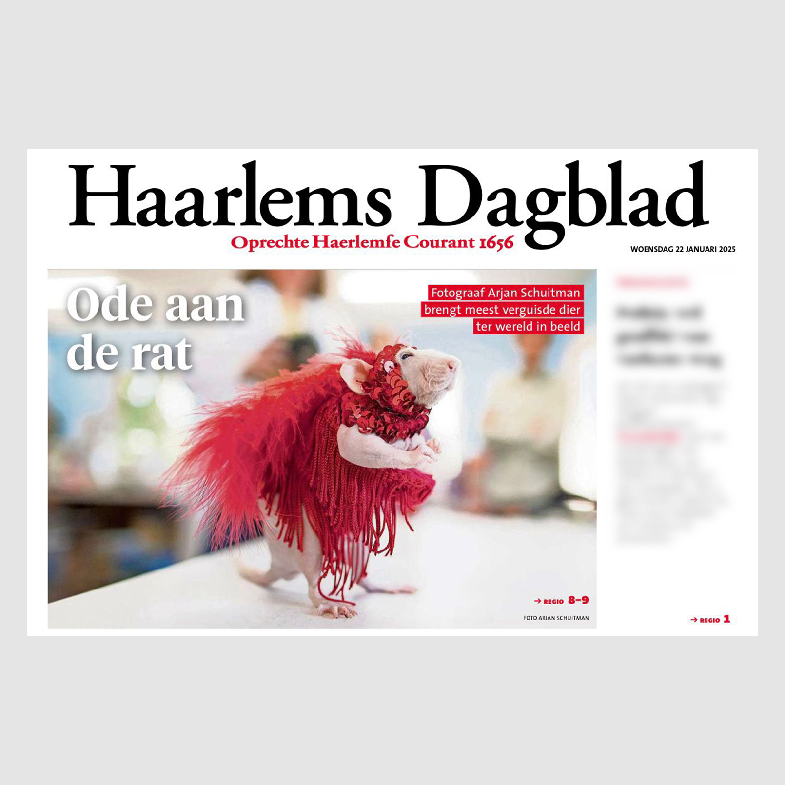 Haarlems Dagblad voorpagina artikel ode aan de rat