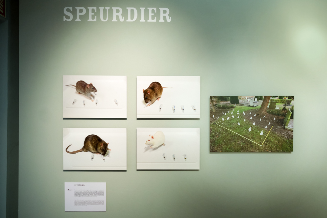 Speurdier