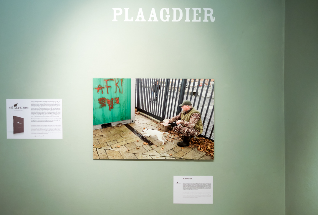 Plaagdier
