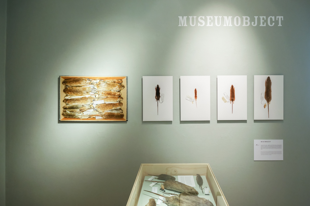 Museumobject
