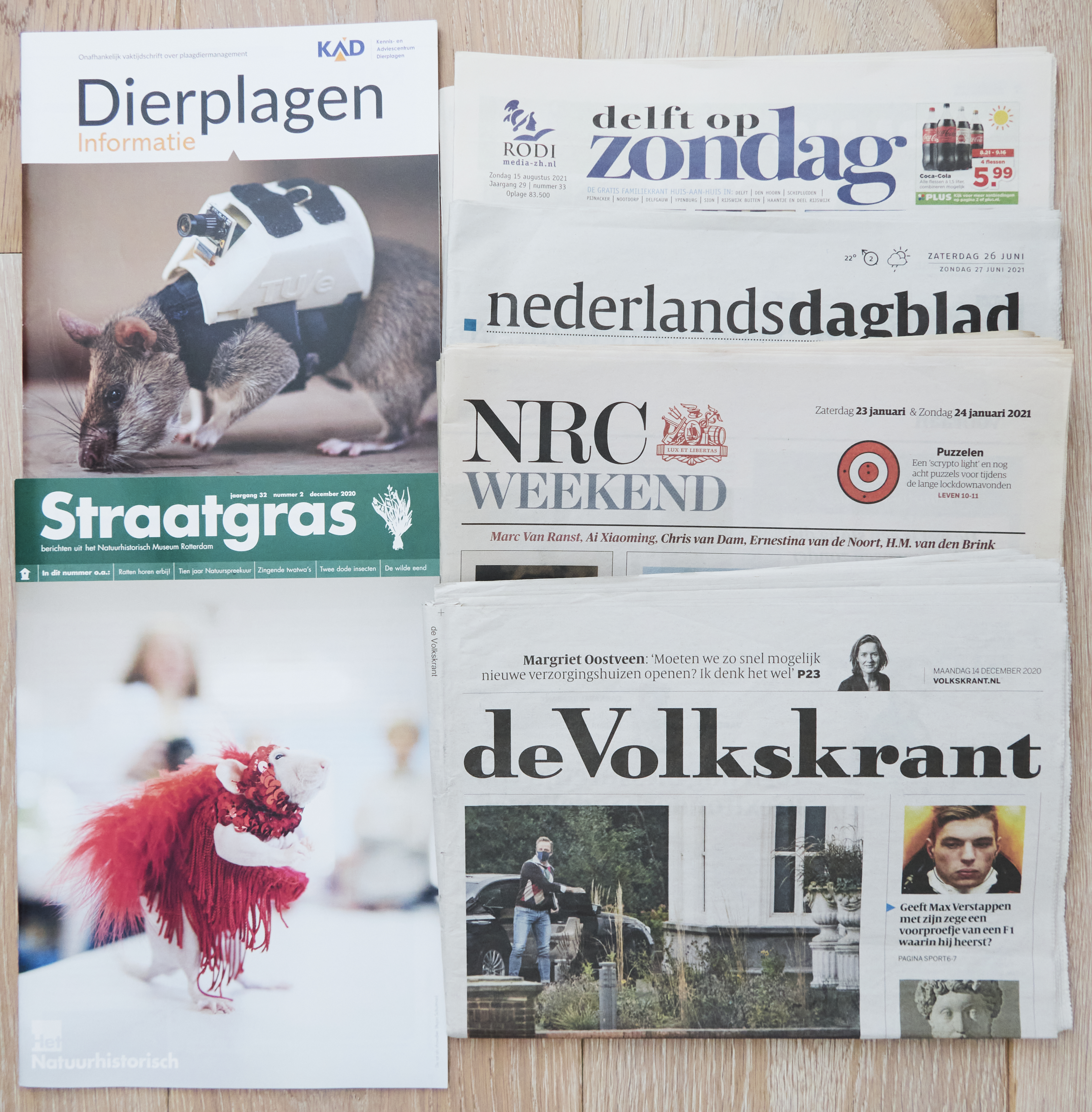 Overzicht van de publicaties over The Rat Gazette