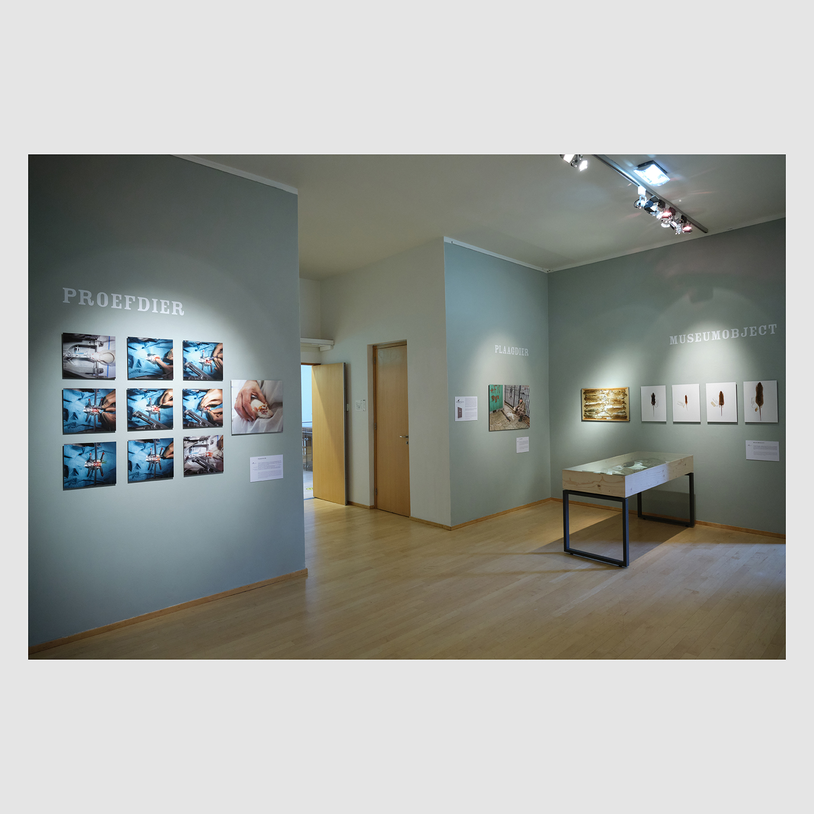 naar tentoonstellingsbeelden